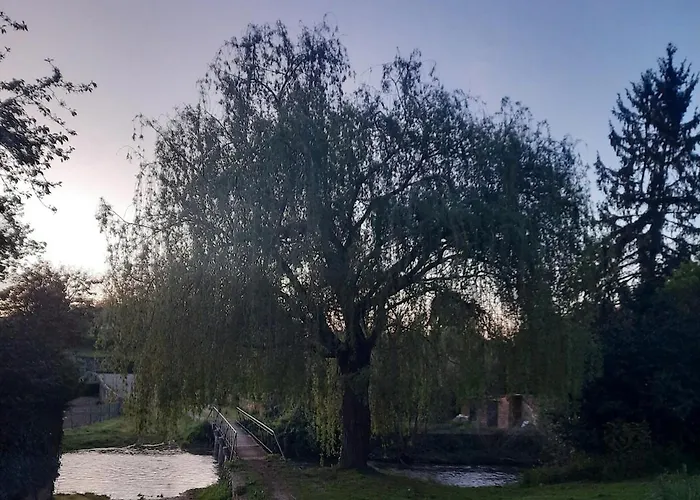 Cosy 70 M2 2 Confort 4 Personnes Apartment Ainay-le-Chateau